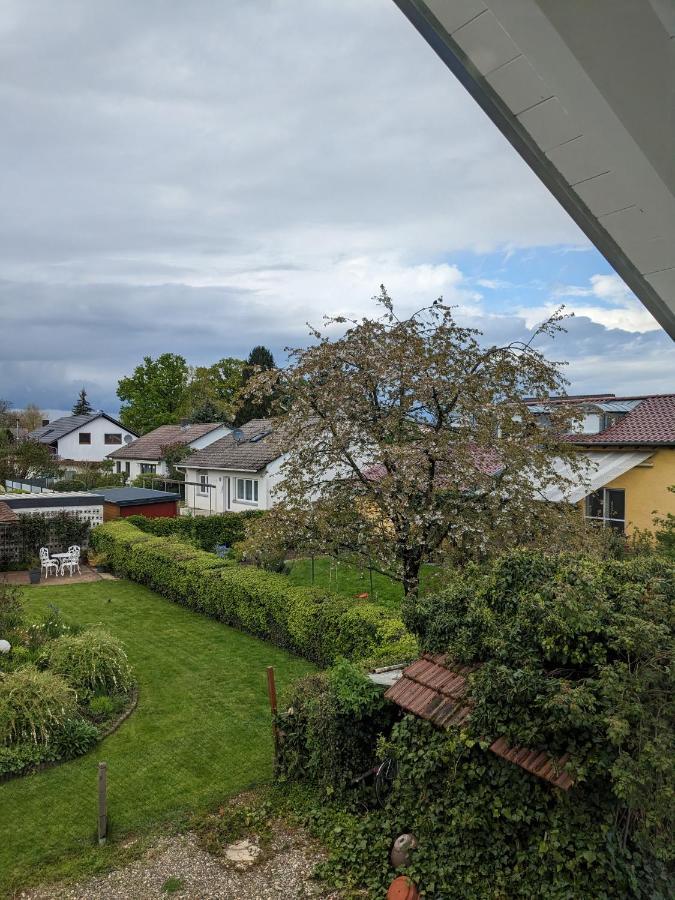 Badischer Neubau-Ruhe-Kunst-Natur Rheinau Ngoại thất bức ảnh