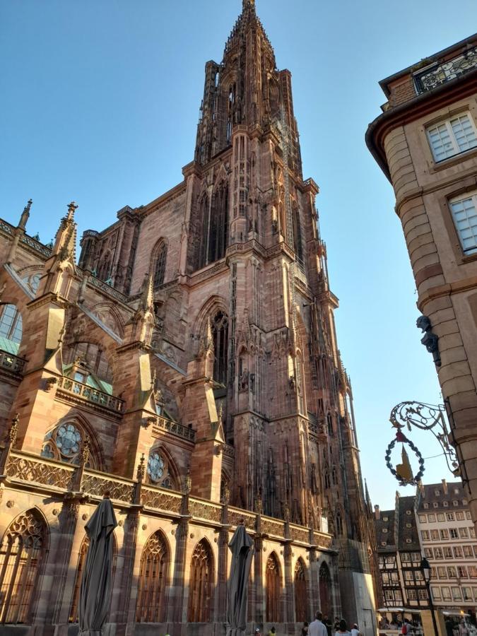 Badischer Neubau-Ruhe-Kunst-Natur Rheinau Ngoại thất bức ảnh
