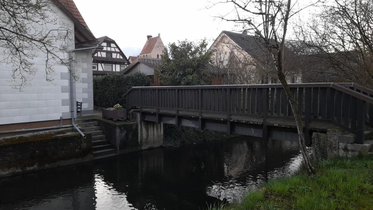 Badischer Neubau-Ruhe-Kunst-Natur Rheinau Ngoại thất bức ảnh