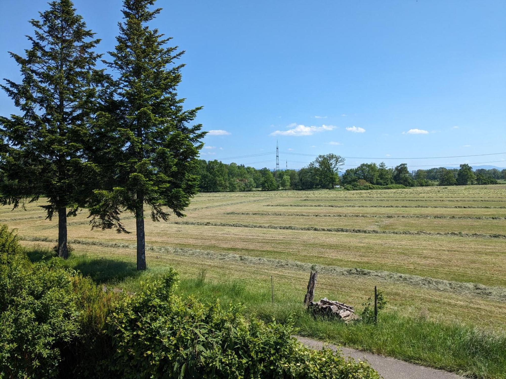 Badischer Neubau-Ruhe-Kunst-Natur Rheinau Ngoại thất bức ảnh