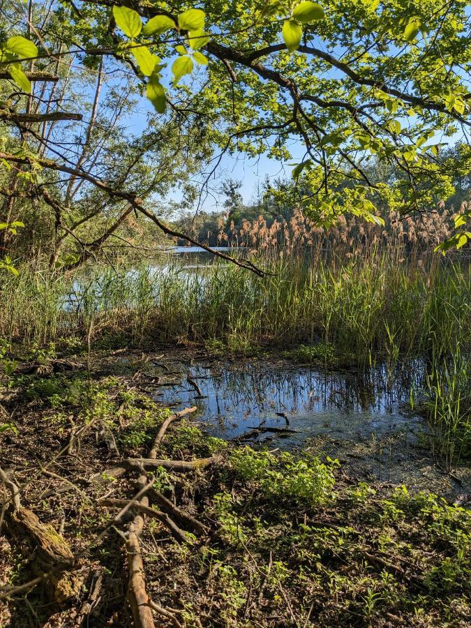 Badischer Neubau-Ruhe-Kunst-Natur Rheinau Ngoại thất bức ảnh