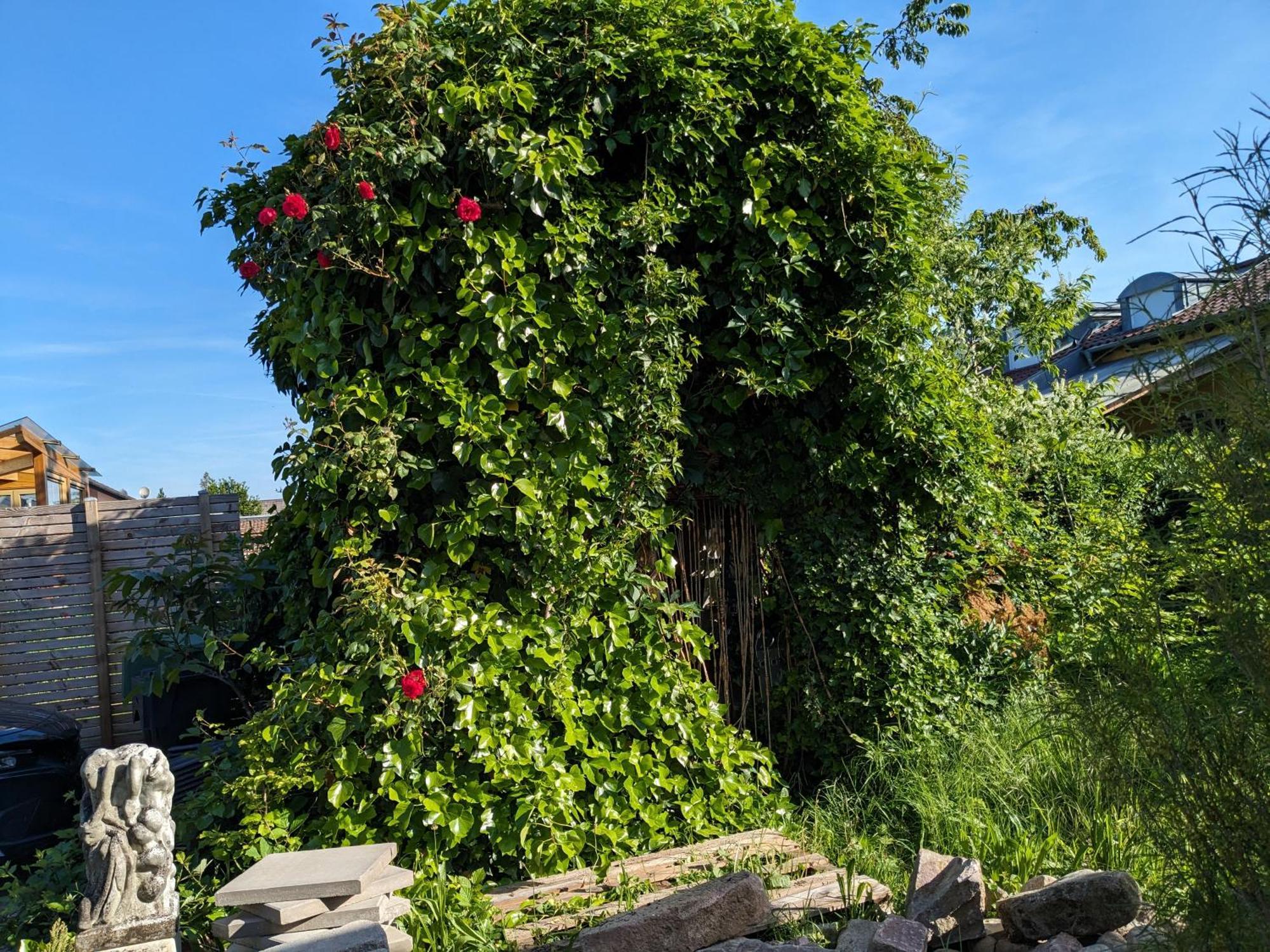 Badischer Neubau-Ruhe-Kunst-Natur Rheinau Ngoại thất bức ảnh