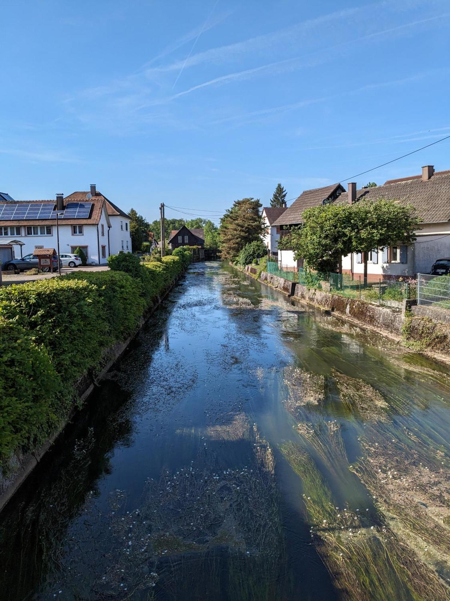 Badischer Neubau-Ruhe-Kunst-Natur Rheinau Ngoại thất bức ảnh